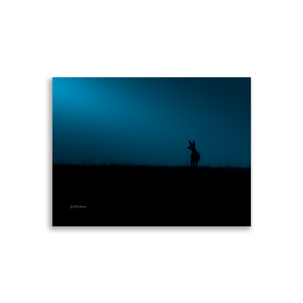 "Silhouette nocturne 1" - Poster mat