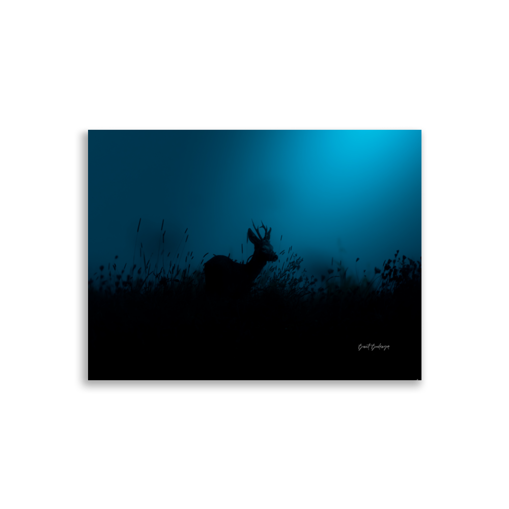 "Silhouette nocturne 2" - Poster mat