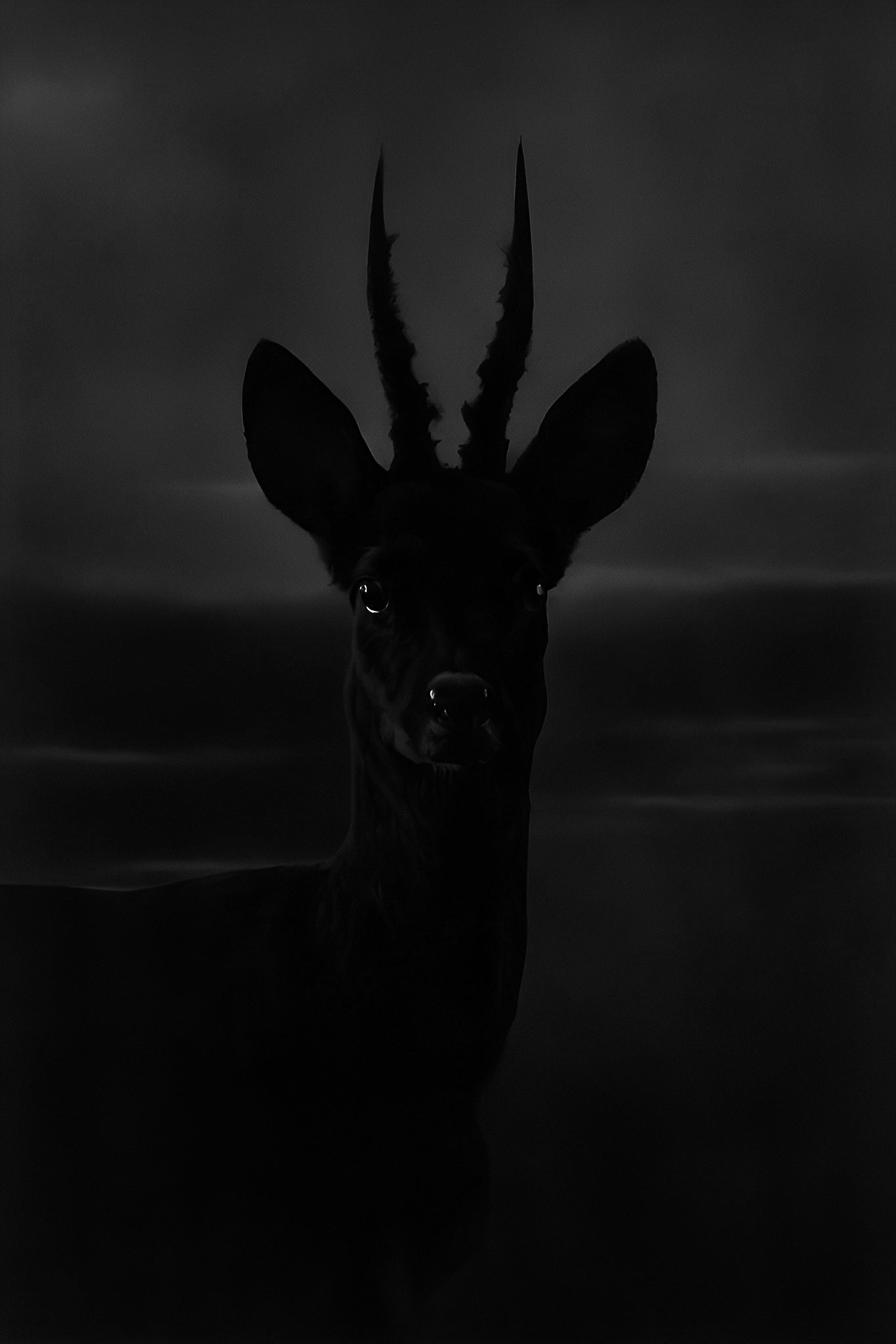 Dark Animal #1 - Poster limité à 10 exemplaires
